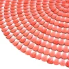PVC Bath Mat Circular 55 x 55 cm /  ABC-501